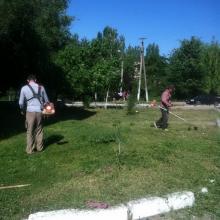 комарова 48 покос