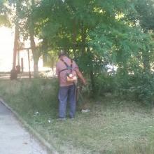 краснод 72 покос