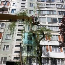 краснодонская 56 спил