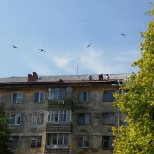 Петровского 99 кровля