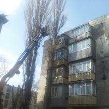 шевченко 81др14 спил
