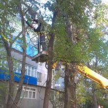 Текстильщиков, 30  спил