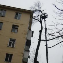 ул. Х. Ботева, 21 спил