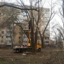 ул. Каховская, 6 спил