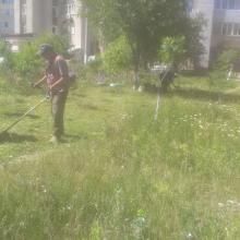 ул. Одесская. 145 покос