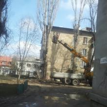 ул. Шевченко 81др4 спил