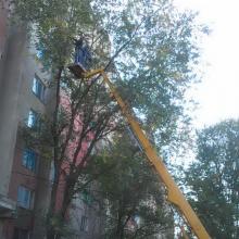 ул. Текстильщиков24 др 5 спил