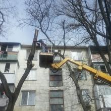 ул. Юности 15др2 обрезка веток