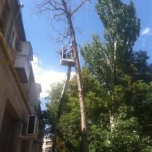 ул Каховская, 9др1 спил