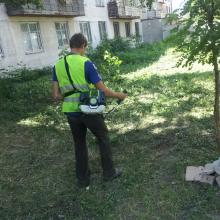 ул Одесская, 80 покос