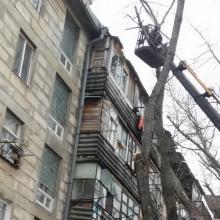 улзелинского 3а спил